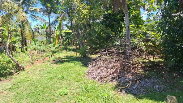 Seventh image of 255 Paw Paw Way in Linstead, St. Catherine, Jamaica - property is For Sale