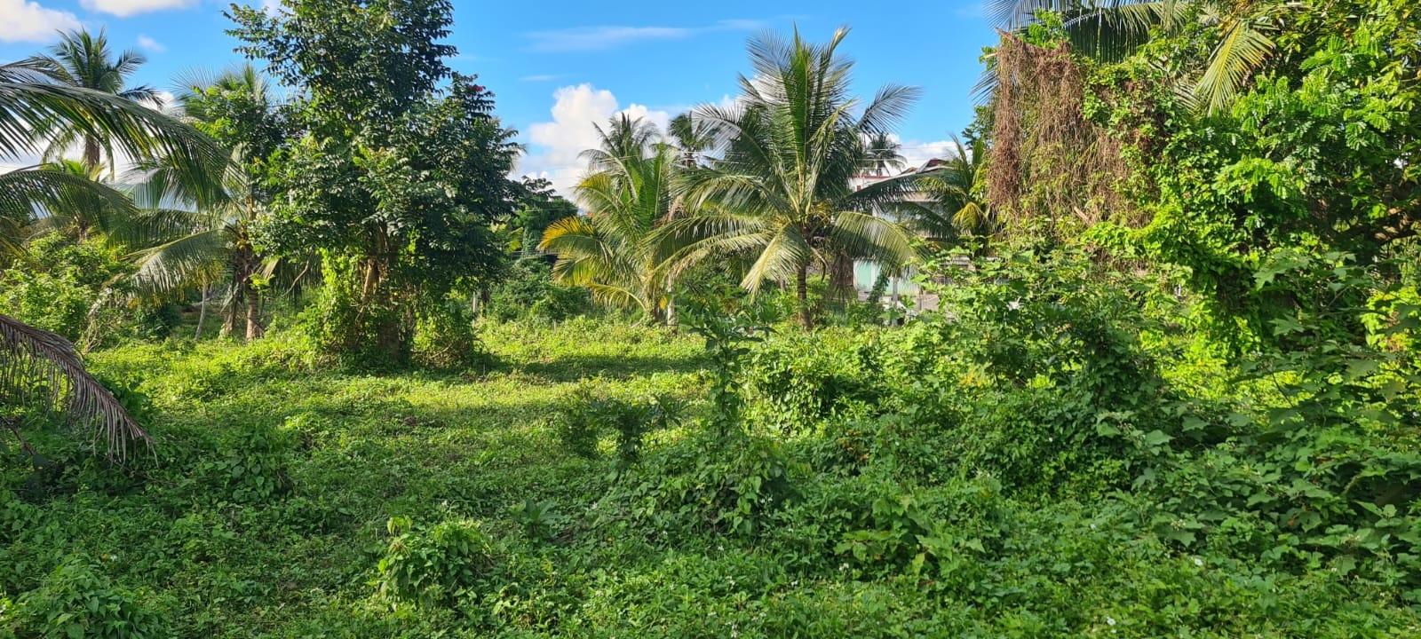 Twelfth image of 1 King Street in Linstead, St. Catherine, Jamaica - property is For Sale