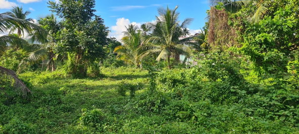 Twelfth image of 1 King Street in Linstead, St. Catherine, Jamaica - property is For Sale