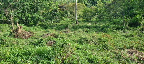 Ninth image of 1 King Street in Linstead, St. Catherine, Jamaica - property is For Sale