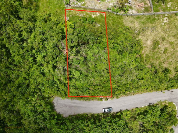 First image of New Green in Mandeville, Manchester, Jamaica - property is For Sale