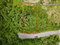 First image of New Green in Mandeville, Manchester, Jamaica - property is For Sale