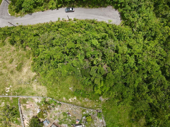 Second image of New Green in Mandeville, Manchester, Jamaica - property is For Sale