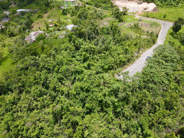Third image of New Green in Mandeville, Manchester, Jamaica - property is For Sale