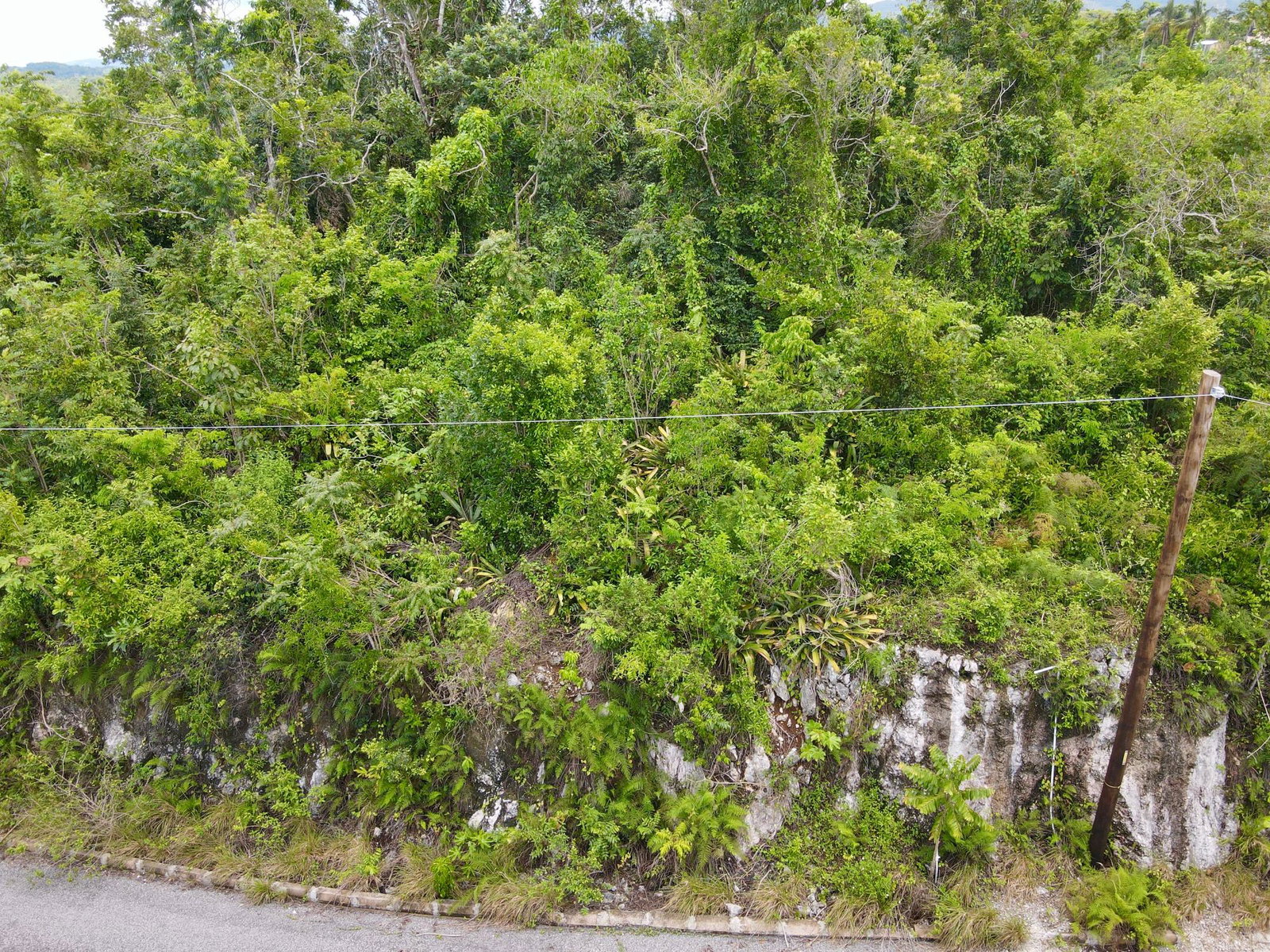 Fourth image of New Green in Mandeville, Manchester, Jamaica - property is For Sale