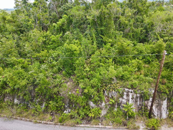 Fourth image of New Green in Mandeville, Manchester, Jamaica - property is For Sale