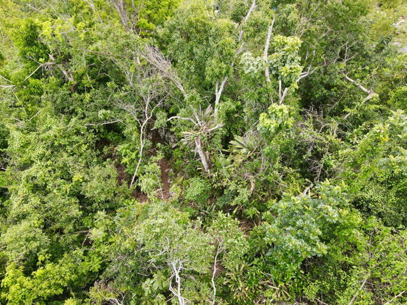 Eighth image of New Green in Mandeville, Manchester, Jamaica - property is For Sale