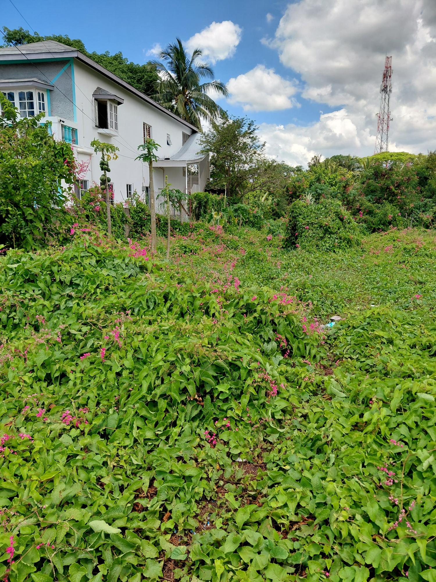 Fourth image of 1- Río Cobre Drive in Spanish Town, St. Catherine, Jamaica - property is For Sale