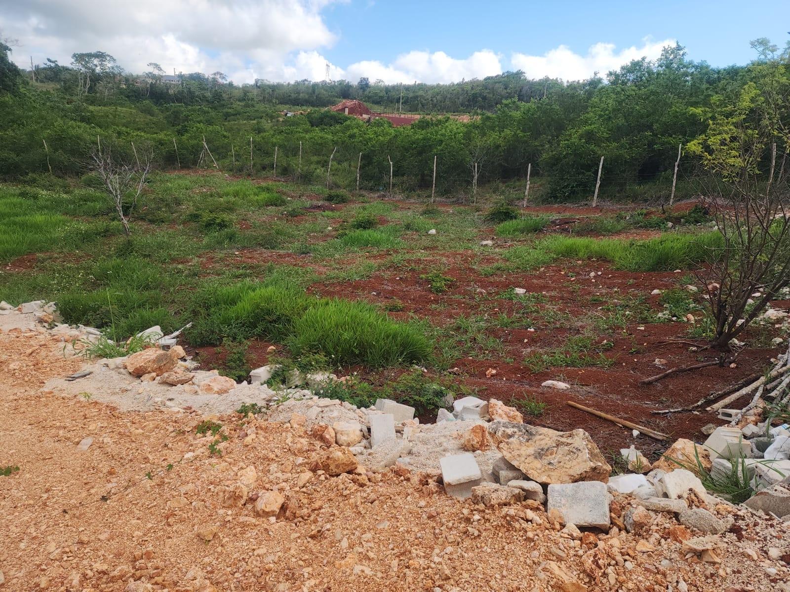Third image of 4 New Whales Newport Mandev in Mandeville, Manchester, Jamaica - property is For Sale