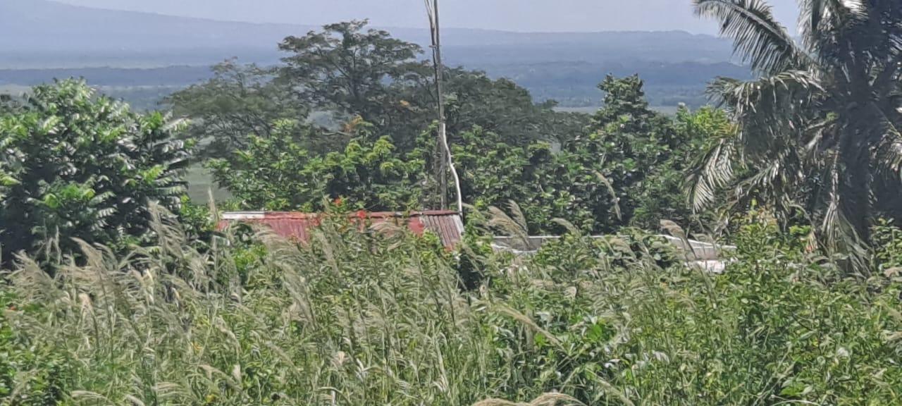 Fifth image of Whitehall st Elizabeth in Whitehall, St. Elizabeth, Jamaica - property is For Sale