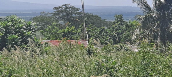Fifth image of Whitehall st Elizabeth in Whitehall, St. Elizabeth, Jamaica - property is For Sale