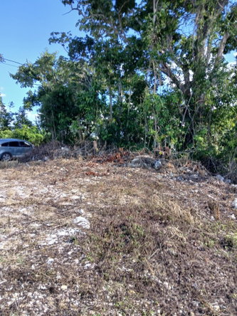Fifth image of Dunrobin in Mandeville, Manchester, Jamaica - property is For Sale