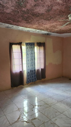 Thirteenth image of Lot-318 Orange Bay Hanover in Green Island, Hanover, Jamaica - property is For Sale