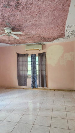 Fourteenth image of Lot-318 Orange Bay Hanover in Green Island, Hanover, Jamaica - property is For Sale