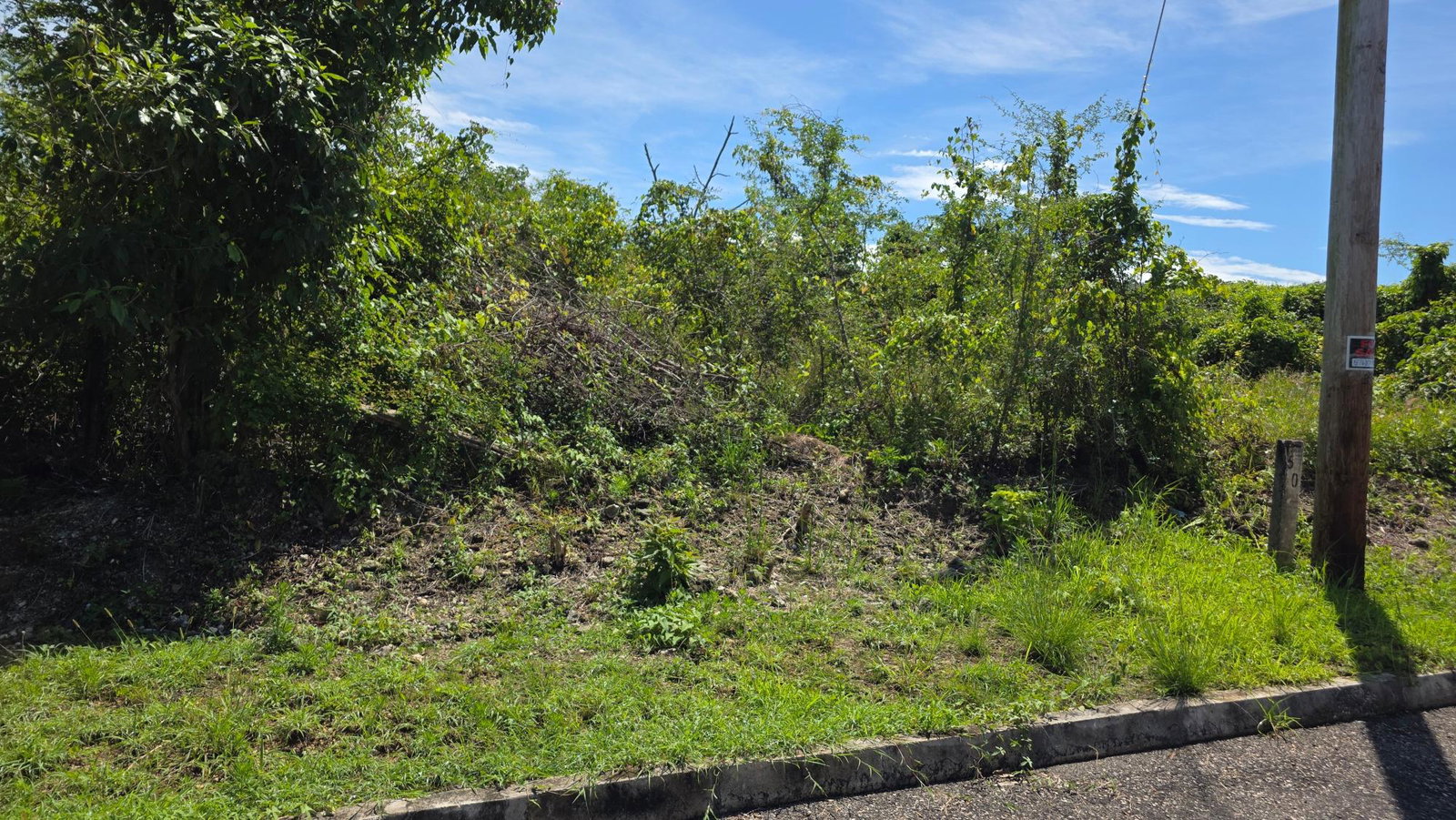 Tenth image of Lot #50- Palm Brook Estate, Lacovi in Lacovia, St. Elizabeth, Jamaica - property is For Sale