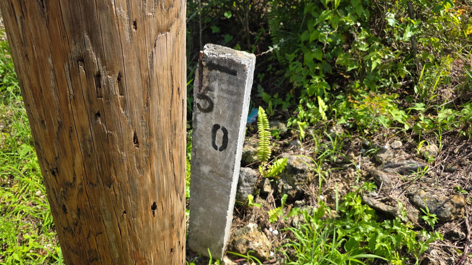 Eleventh image of Lot #50- Palm Brook Estate, Lacovi in Lacovia, St. Elizabeth, Jamaica - property is For Sale