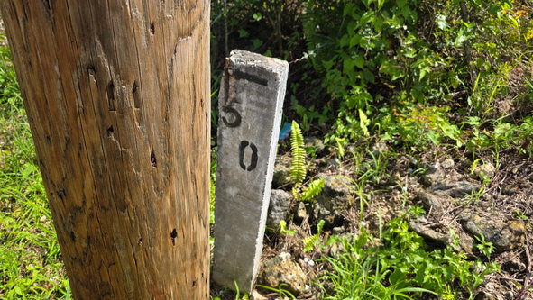 Eleventh image of Lot #50- Palm Brook Estate, Lacovi in Lacovia, St. Elizabeth, Jamaica - property is For Sale