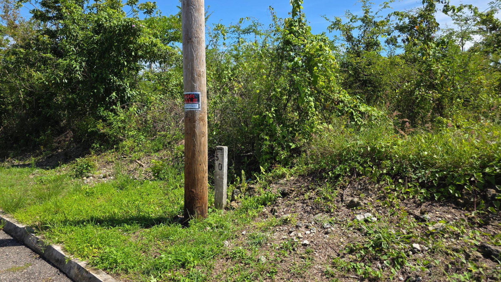 Thirteenth image of Lot #50- Palm Brook Estate, Lacovi in Lacovia, St. Elizabeth, Jamaica - property is For Sale
