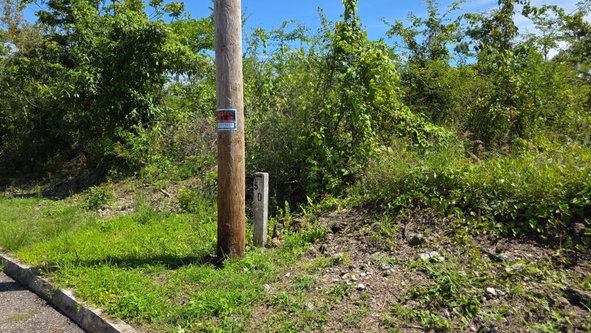 Thirteenth image of Lot #50- Palm Brook Estate, Lacovi in Lacovia, St. Elizabeth, Jamaica - property is For Sale
