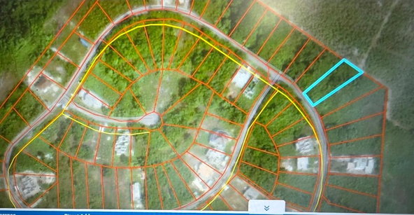 Fourteenth image of Lot #50- Palm Brook Estate, Lacovi in Lacovia, St. Elizabeth, Jamaica - property is For Sale