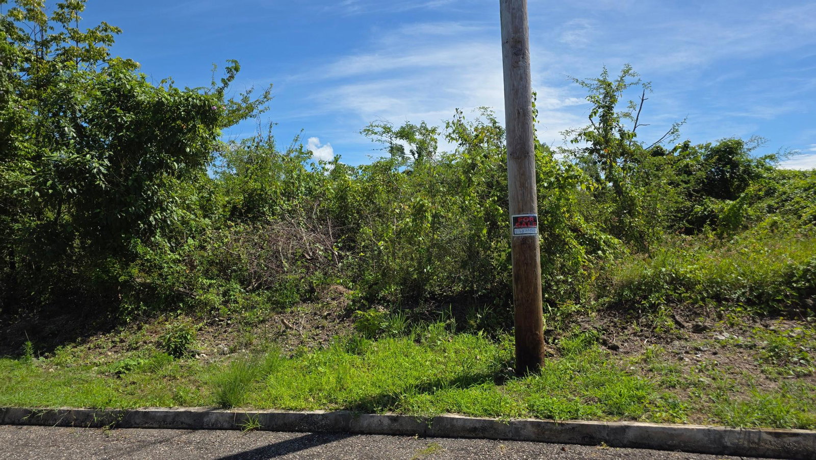 Eighth image of Lot #50- Palm Brook Estate, Lacovi in Lacovia, St. Elizabeth, Jamaica - property is For Sale