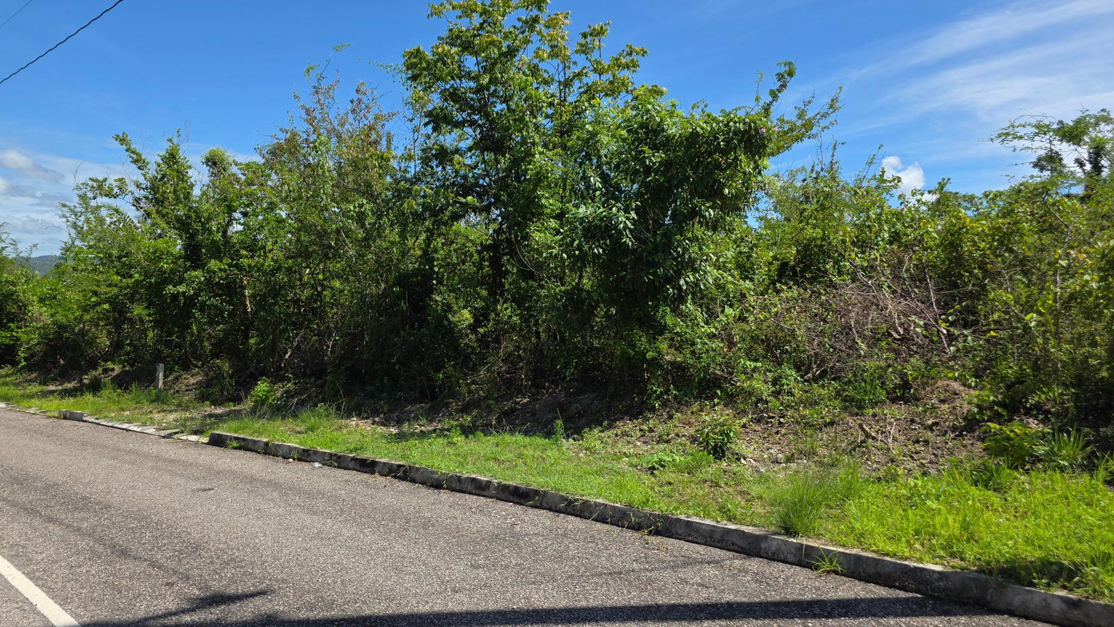 Ninth image of Lot #50- Palm Brook Estate, Lacovi in Lacovia, St. Elizabeth, Jamaica - property is For Sale