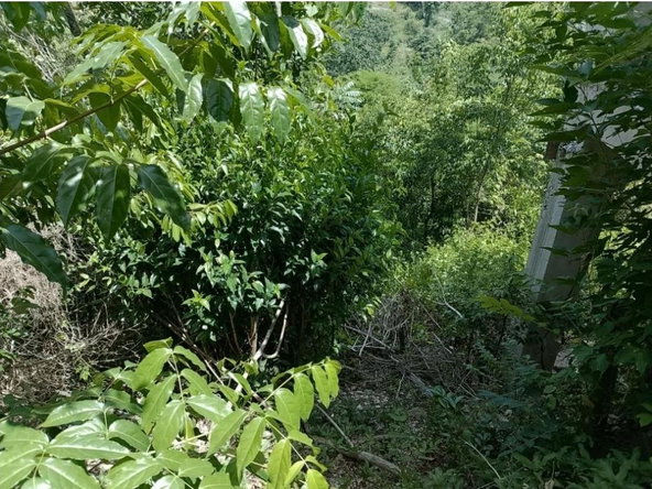 Tenth image of Lot 16 Woodland Heights, Red Hil in Red Hills, St. Andrew, Jamaica - property is For Sale