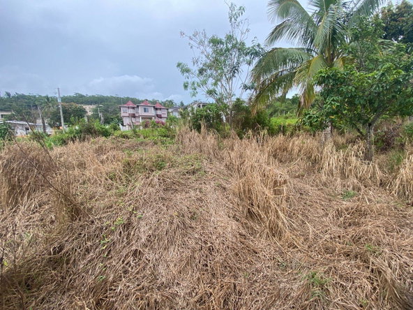 Fourth image of Spur Tree rd in Spur Tree, Manchester, Jamaica - property is For Sale