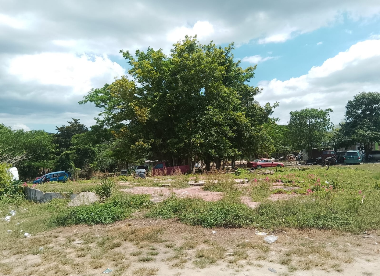 Third image of Tombstone/lacovia Main ro in Lacovia, St. Elizabeth, Jamaica - property is For Sale