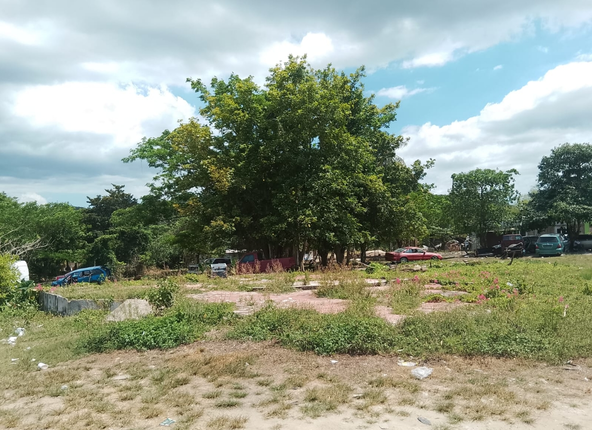 Third image of Tombstone/lacovia Main ro in Lacovia, St. Elizabeth, Jamaica - property is For Sale
