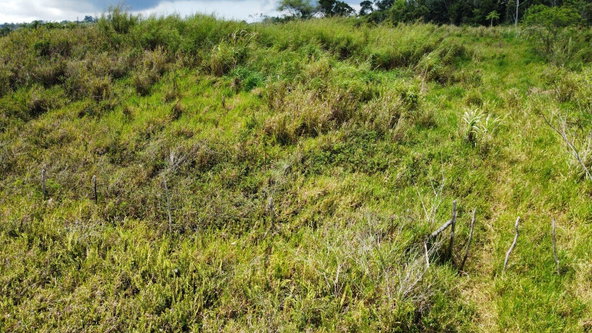 Twelfth image of Lot 413 New Wales in Mandeville, Manchester, Jamaica - property is For Sale