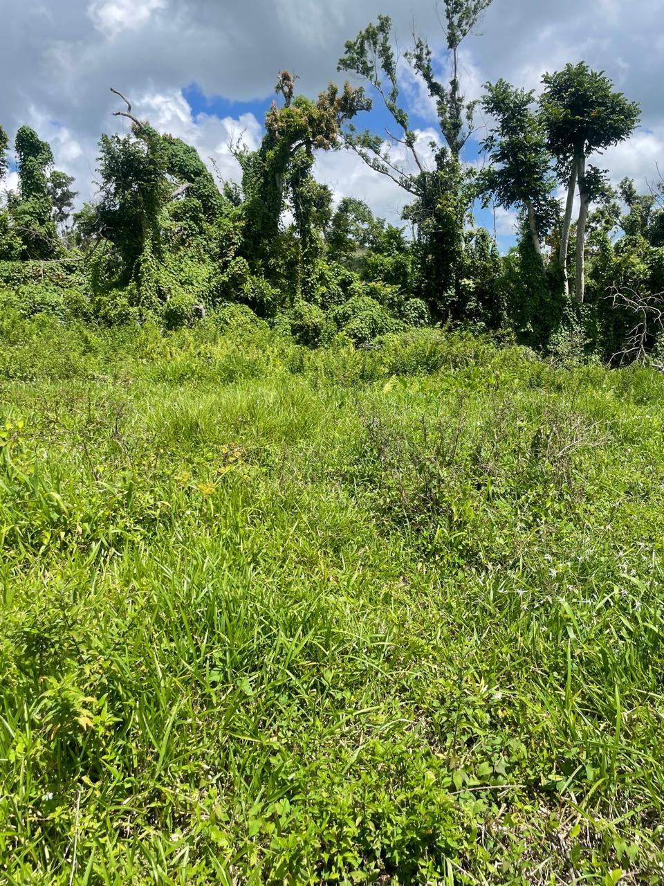 First image of Part of New Works in New Works, Westmoreland, Jamaica - property is For Rent