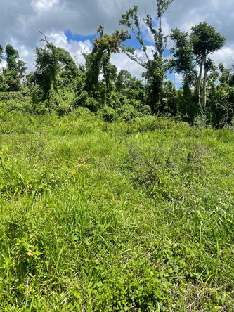 First image of Part of New Works in New Works, Westmoreland, Jamaica - property is For Rent