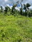 First image of Part of New Works in New Works, Westmoreland, Jamaica - property is For Rent