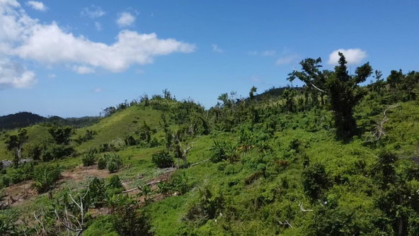 Second image of Part of New Works in New Works, Westmoreland, Jamaica - property is For Rent