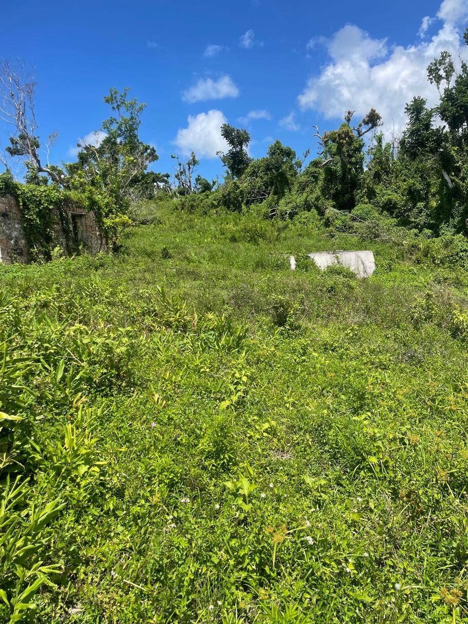 Fifth image of Part of New Works in New Works, Westmoreland, Jamaica - property is For Rent