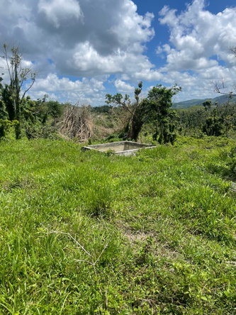 Sixth image of Part of New Works in New Works, Westmoreland, Jamaica - property is For Rent