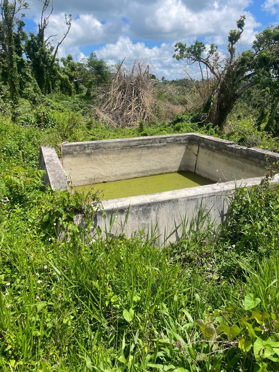 Seventh image of Part of New Works in New Works, Westmoreland, Jamaica - property is For Rent