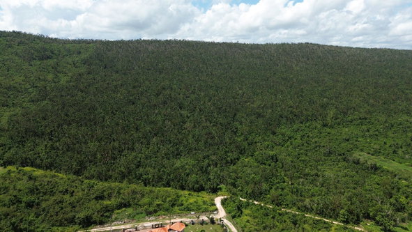 Third image of 37- Greenside, Falmouth in Falmouth, Trelawny, Jamaica - property is For Sale