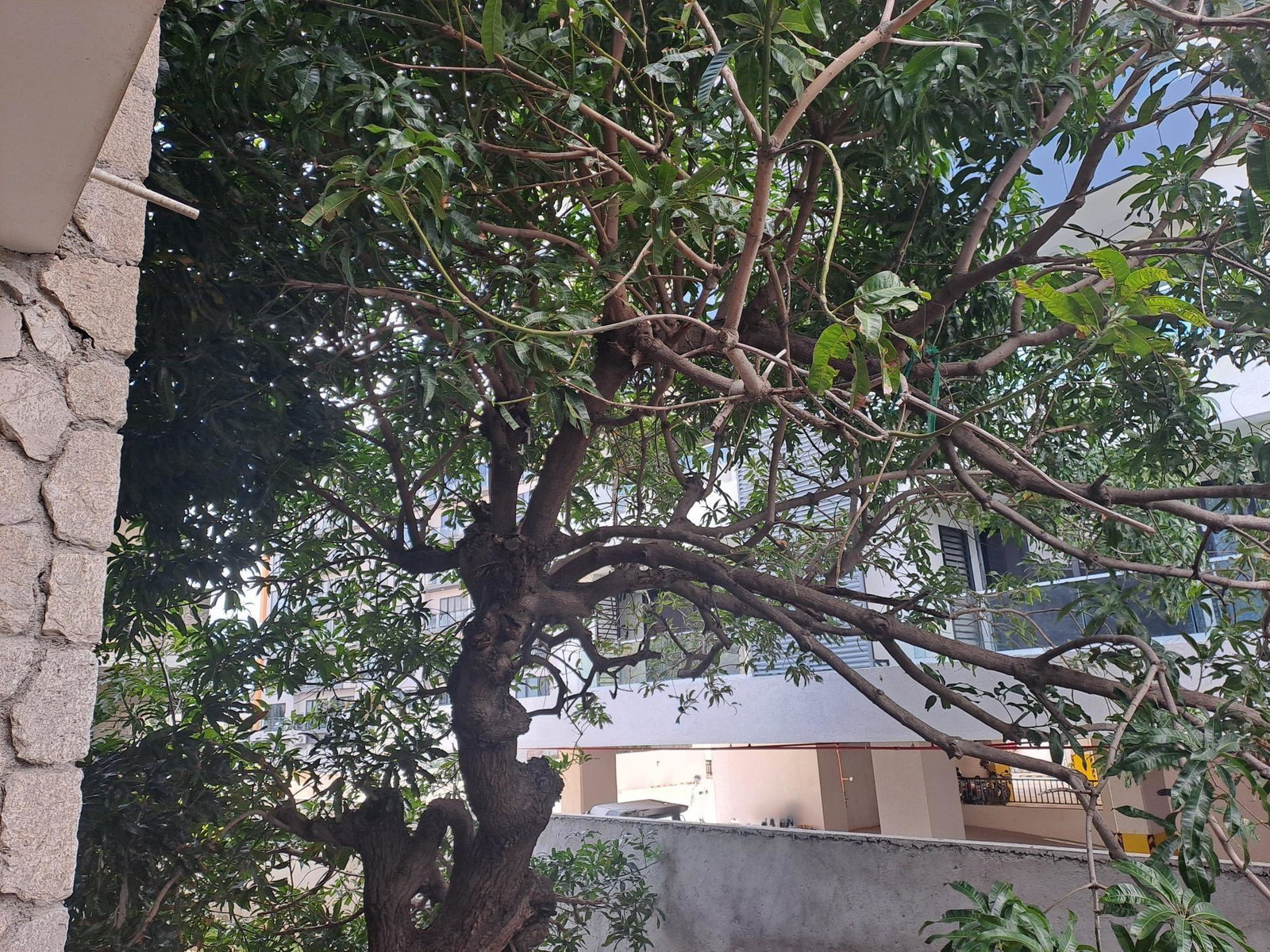 Fourth image of 12-14 Waterloo Ave., in Kingston 10, St. Andrew, Jamaica - property is For Sale