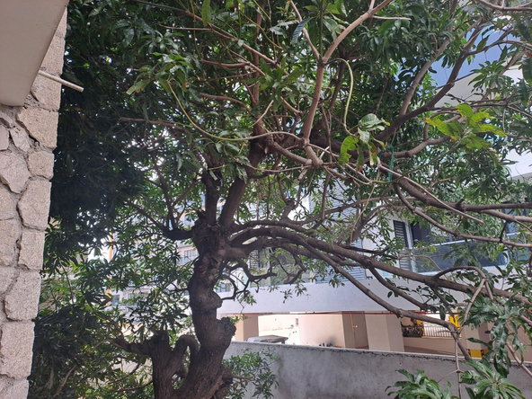 Fourth image of 12-14 Waterloo Ave., in Kingston 10, St. Andrew, Jamaica - property is For Sale