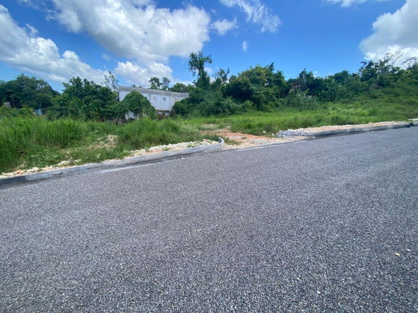 Fourteenth image of Lot 1- Three Hills, St. Mary in Three Hills, St. Mary, Jamaica - property is For Sale