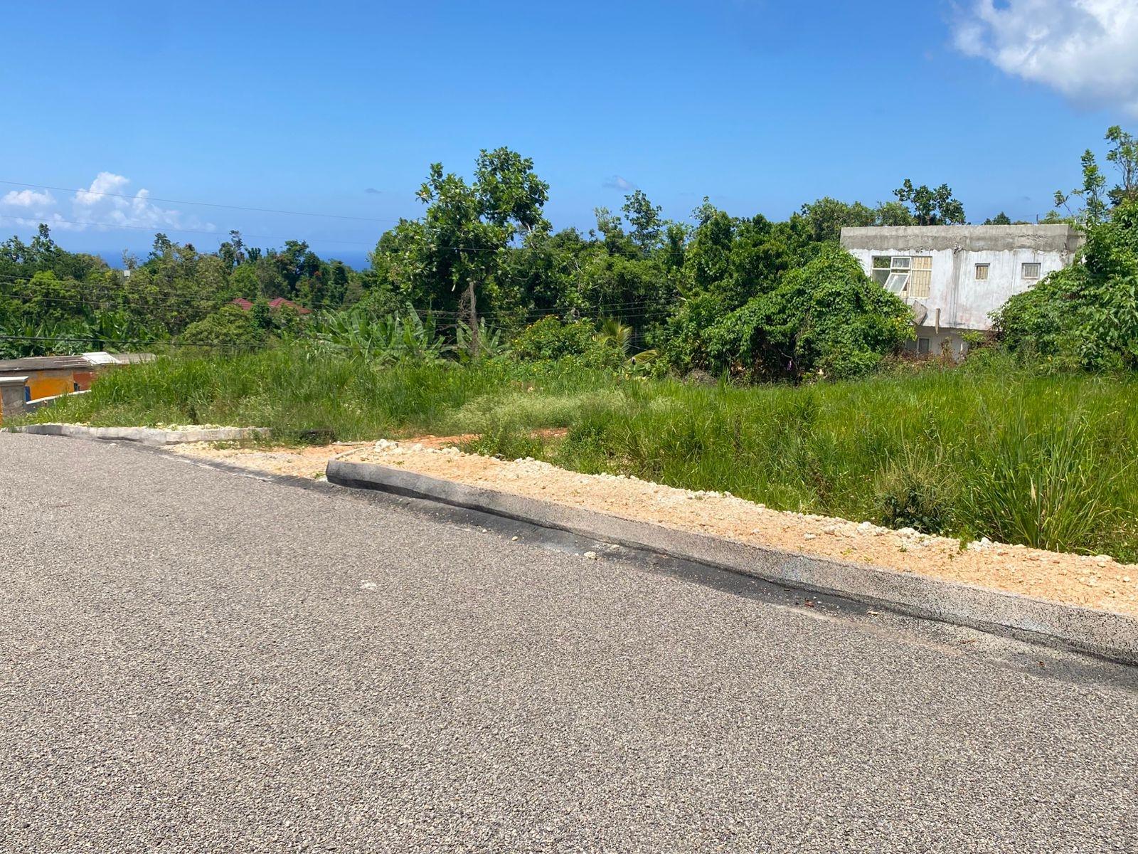 Seventh image of Lot 1- Three Hills, St. Mary in Three Hills, St. Mary, Jamaica - property is For Sale