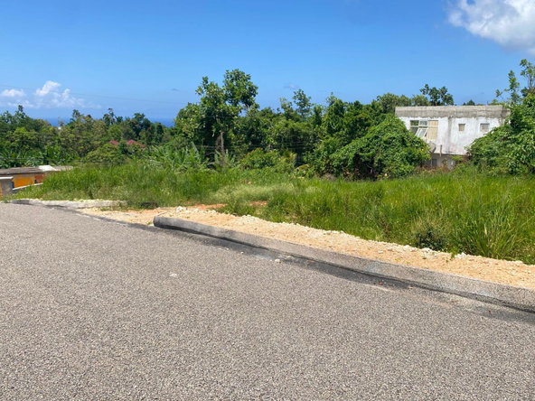 Seventh image of Lot 1- Three Hills, St. Mary in Three Hills, St. Mary, Jamaica - property is For Sale
