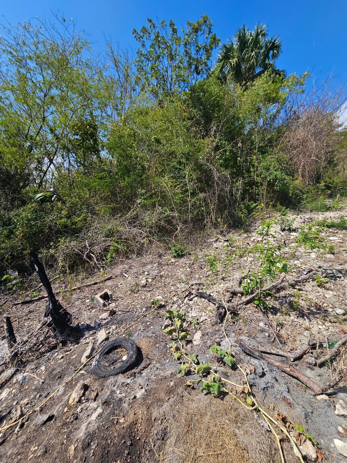 Third image of Lot 303- Culloden Hillside Villas in WHITEHOUSE, Westmoreland, Jamaica - property is For Sale