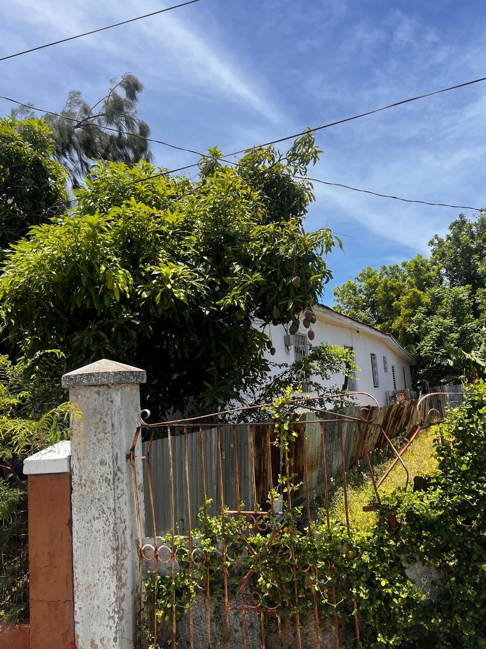 Tenth image of 7 1/2 Lucas Road in Kingston 2, Kingston, Jamaica - property is For Sale