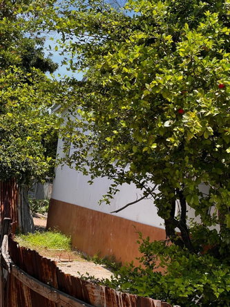 Fifth image of 7 1/2 Lucas Road in Kingston 2, Kingston, Jamaica - property is For Sale
