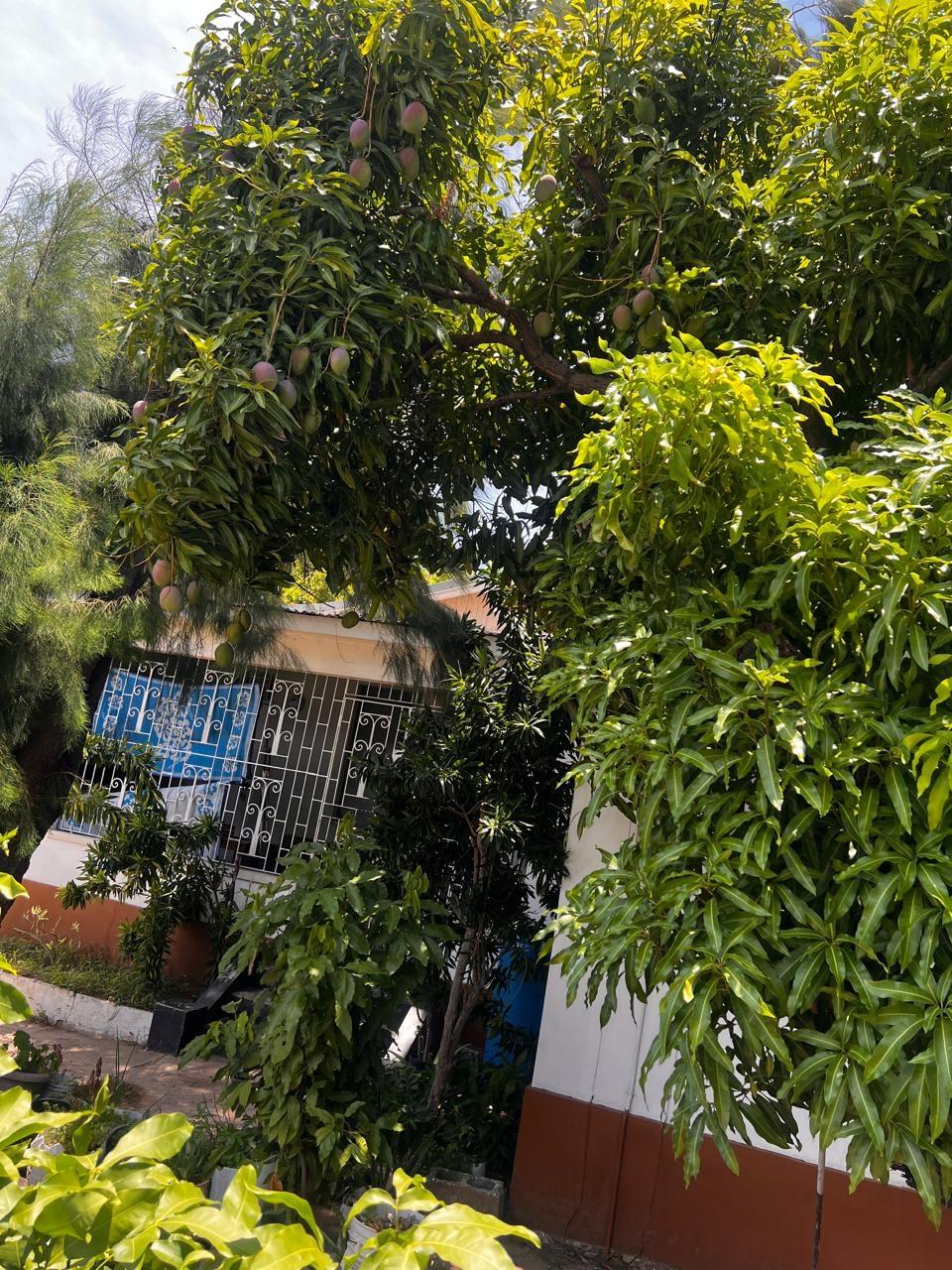 Ninth image of 7 1/2 Lucas Road in Kingston 2, Kingston, Jamaica - property is For Sale