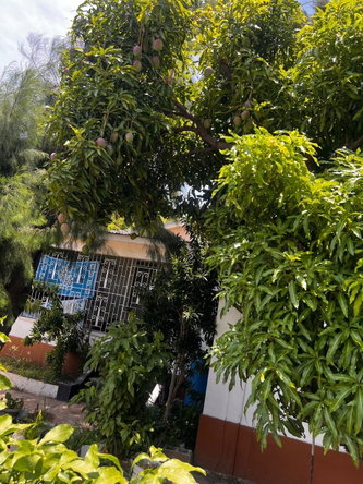 Ninth image of 7 1/2 Lucas Road in Kingston 2, Kingston, Jamaica - property is For Sale
