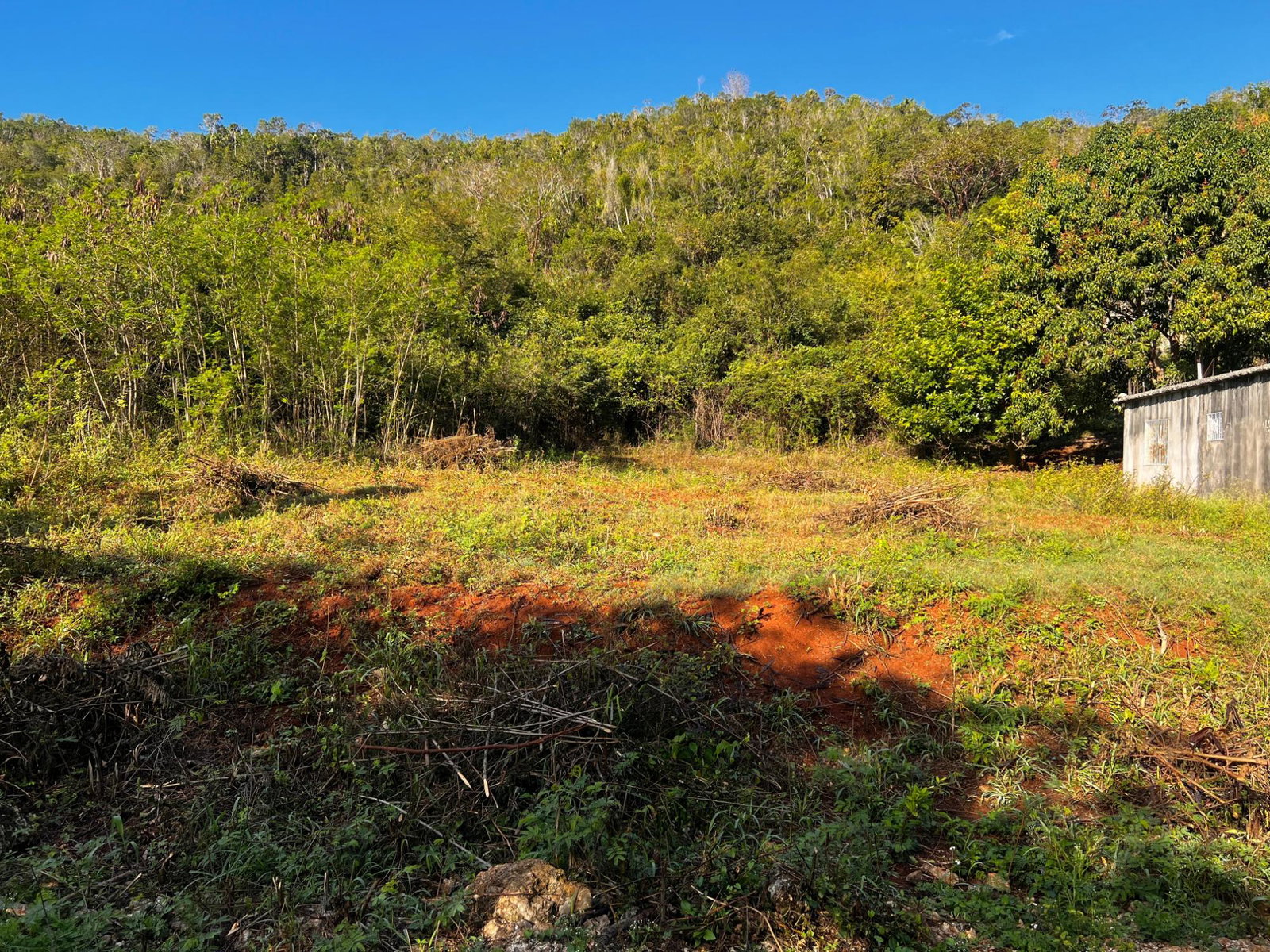 Third image of 77 Beckford Farm in Waterloo Valley, St. Catherine, Jamaica - property is For Sale